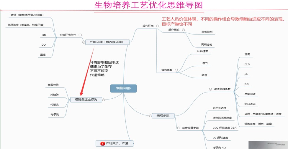 M2000高通量生化分析仪12